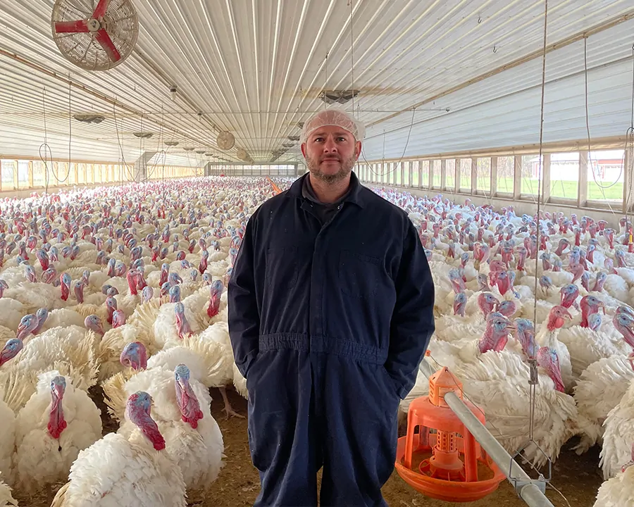 feature-ohio-turkey-farming